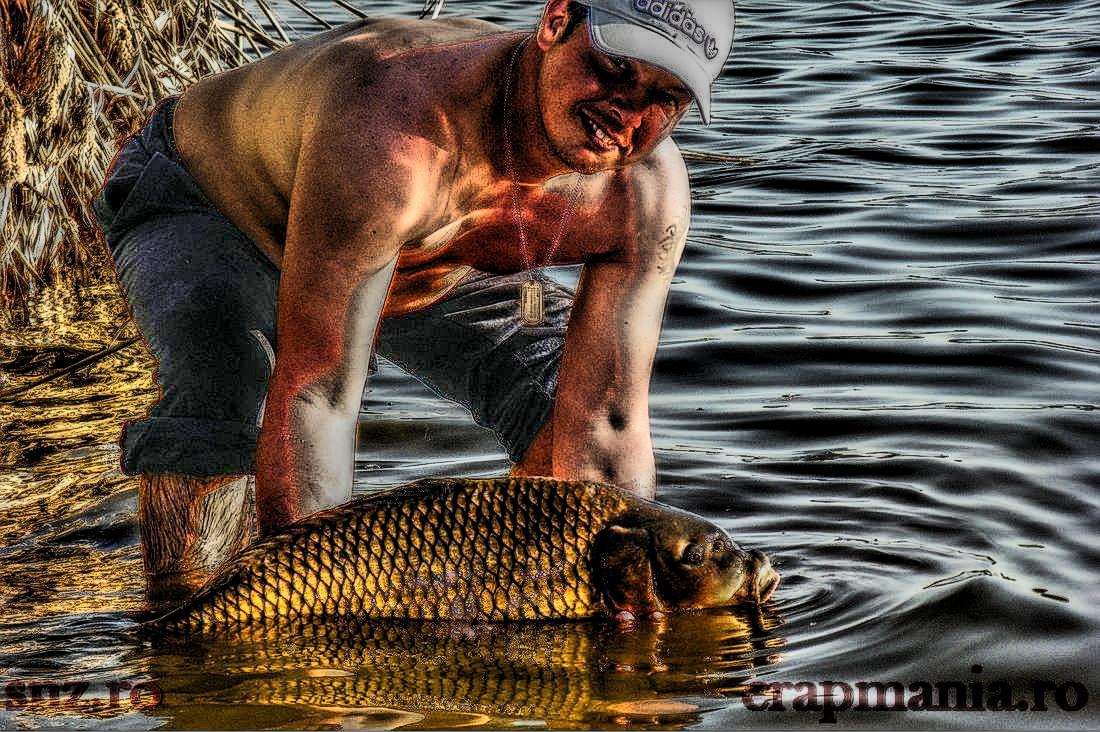 Trofeul Tancabesti - 2013 - 1010259hdrmode2.jpg